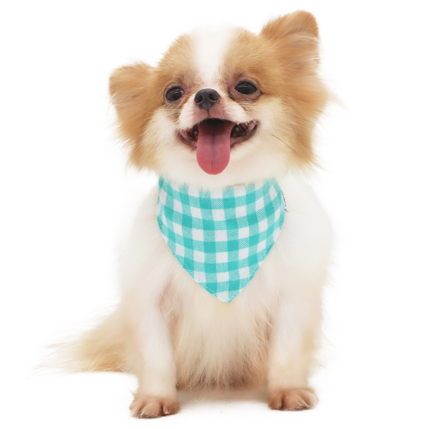 Lophipets new checkered triangular scarf-Green-M