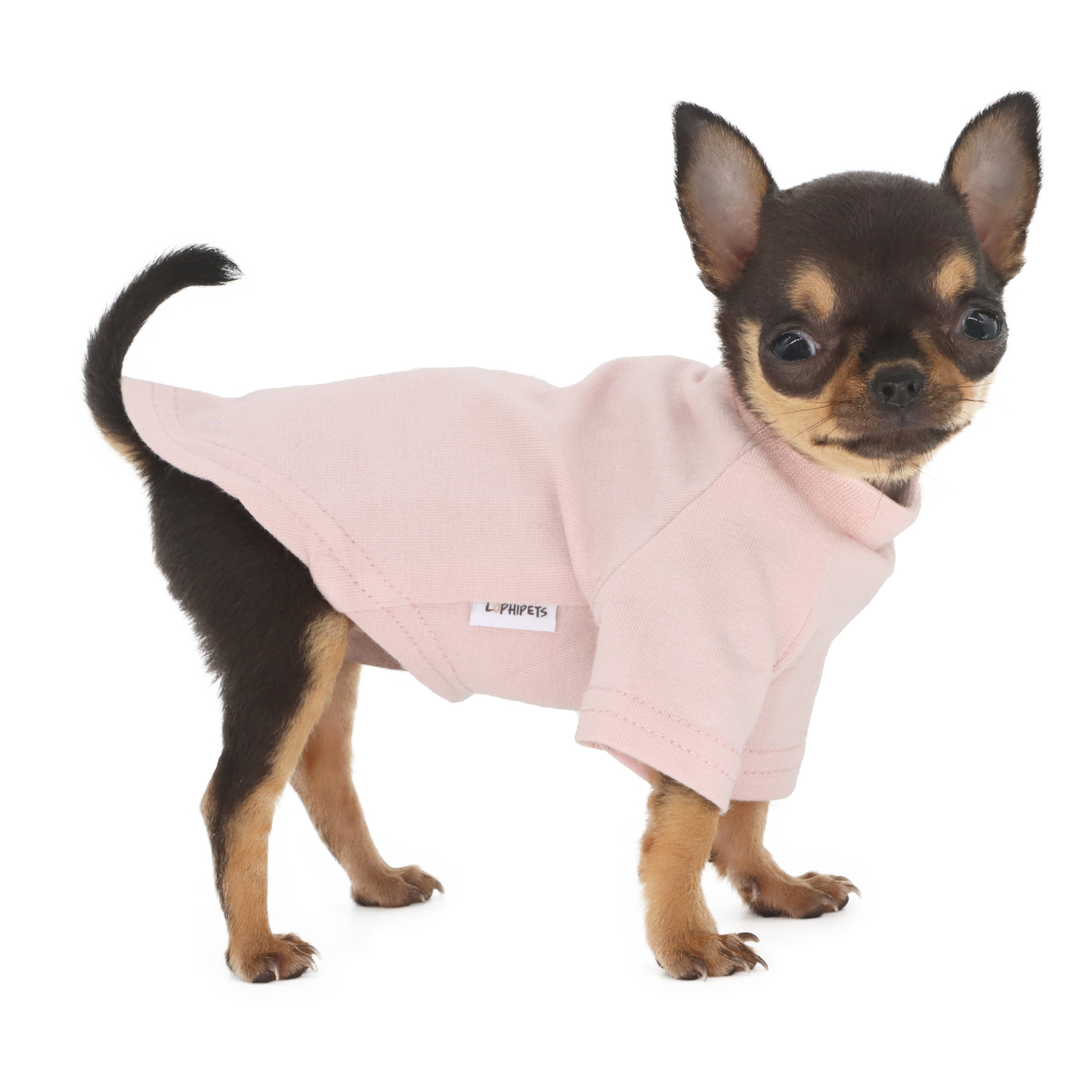Lophipets new long-sleeved solid-color T-shirt-Pink-XXS