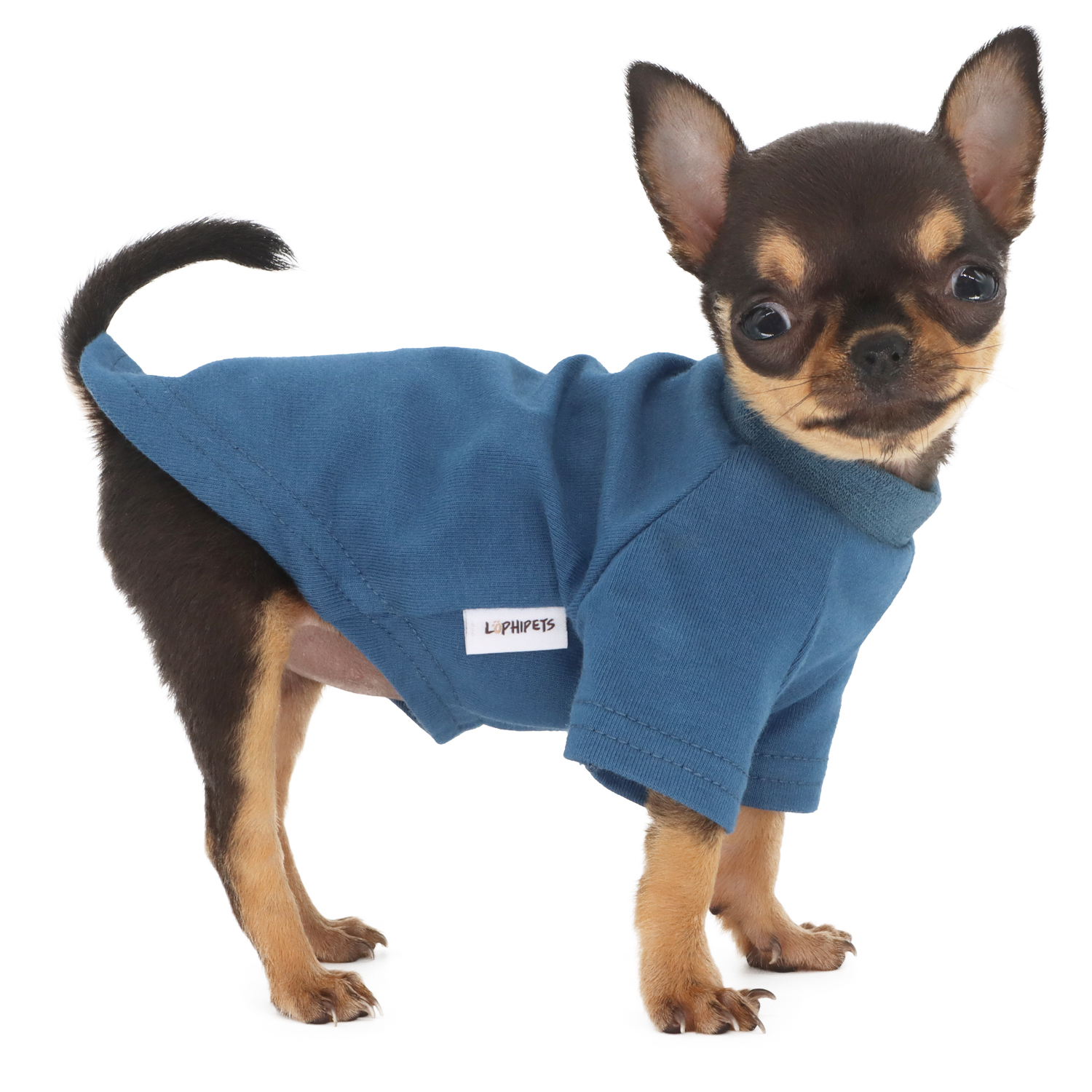Lophipets new long-sleeved solid-color T-shirt-Navy-XXS