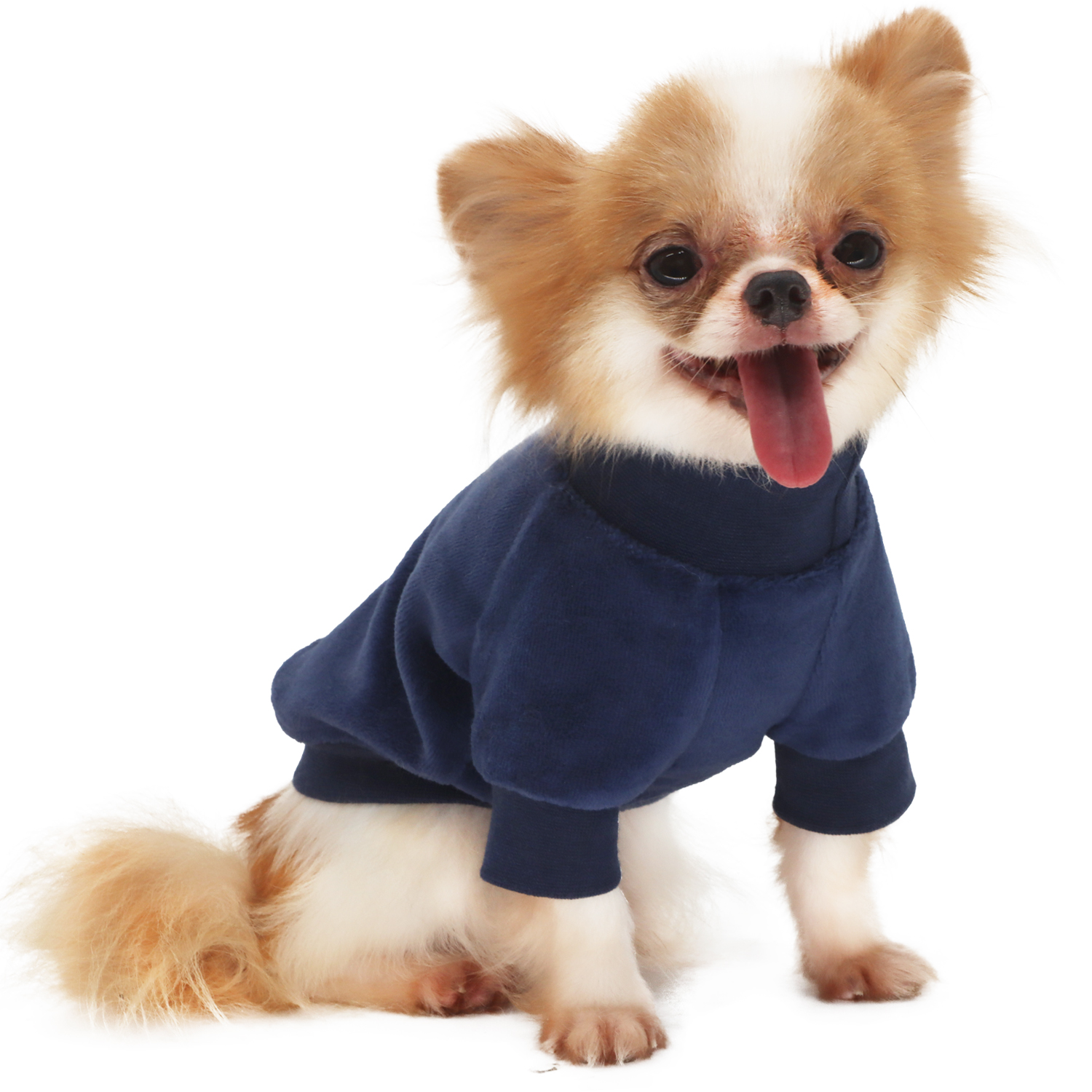Lophipets new velvet hoodie-Navy-S