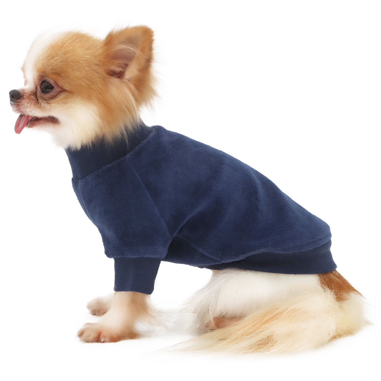 Lophipets new velvet hoodie-Navy-S