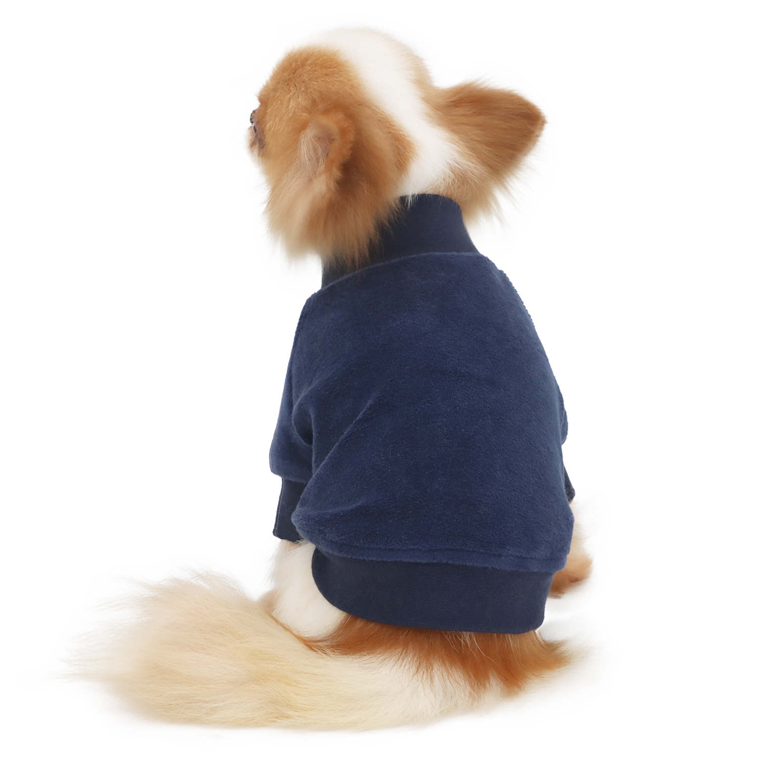 Lophipets new velvet hoodie-Navy-S