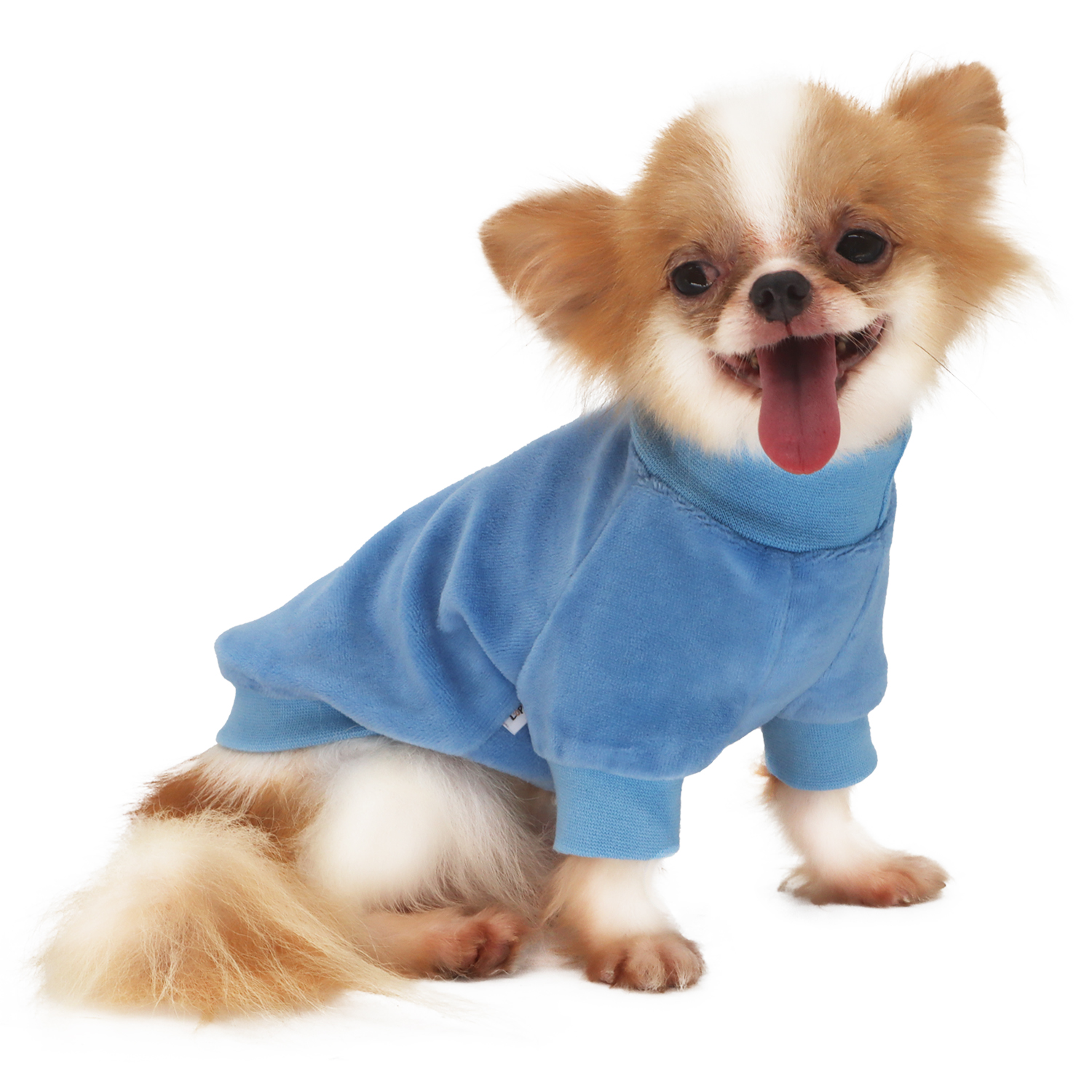 Lophipets new velvet hoodie-sky blue-S