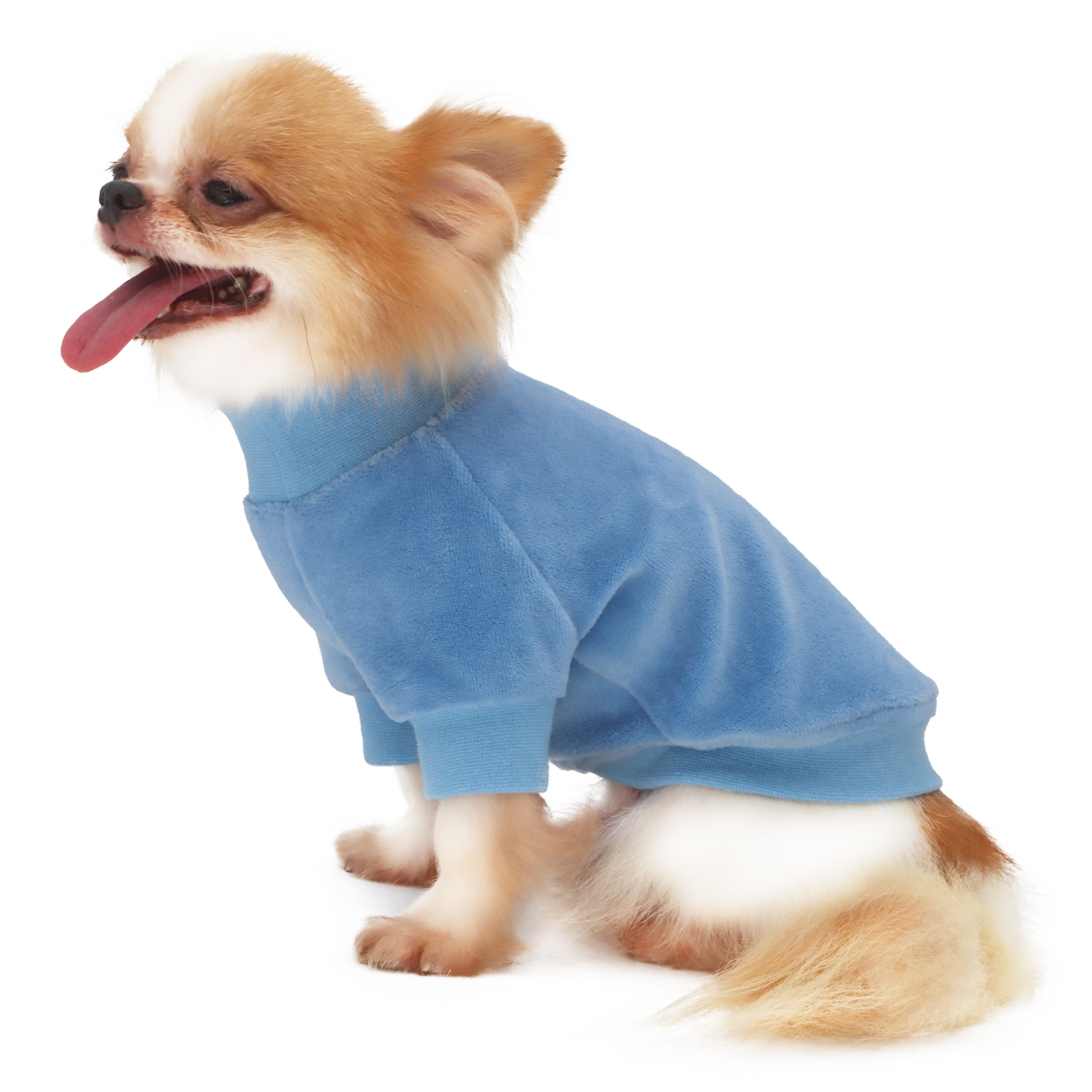 Lophipets new velvet hoodie-sky blue-S