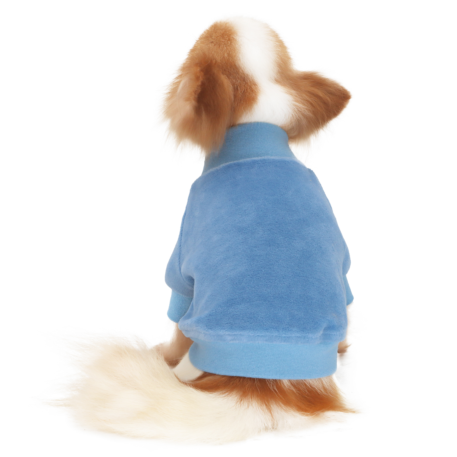 Lophipets new velvet hoodie-sky blue-S